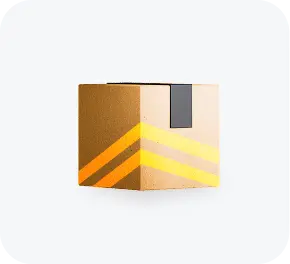 Rapido Parcel Delivery